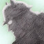 KUMA