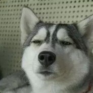 送如饮水无他但手熟尔