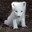 snowfox velk.ca