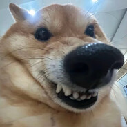 𝒔𝒎𝒊𝒍𝒆♥