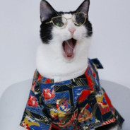 你最后还是成我遗憾