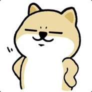 哈士奇的导盲犬