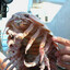 Isopod Gaming