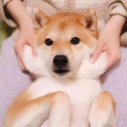 马了证明对队友有想法