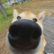 怎么让富婆怀孕