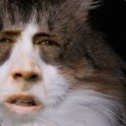 Neomkitty