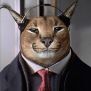 Man minding his business