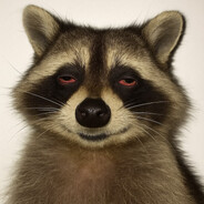 TOTSAM1Y - steam id 76561199810186265