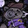 Raccoon Homes