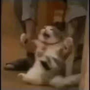 呼姆呼姆努库努库阿普