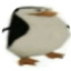 just a penguin