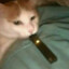 ✪vapecat