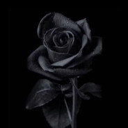 Black Rose