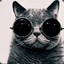 I&#039;m Cool For Cats
