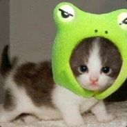 Hoki - steam id 76561197963910216