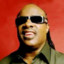 Stevie Wonder Isn&#039;t Blind