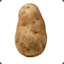 Immortal Potato