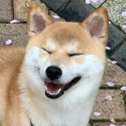 只蒸馒头不争气