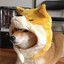 I&#039;m Shiba Inu