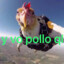 yvo pollo