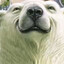 stinkmans's avatar