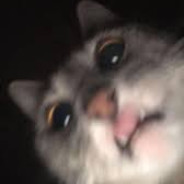 AST