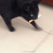 还在机场等船吗