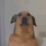 Зеленый слоник