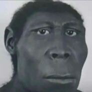 鼻屎拌饭加个蛋