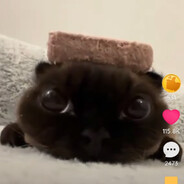 Валера100к (друг)