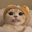 :P