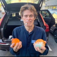 a tribe called quest - steam id 76561199477102706