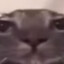 Lanzelott