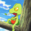 Treecko_21