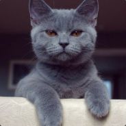 2GisFuck
