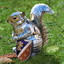 Squirrel Knight