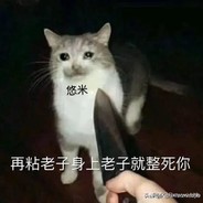 虾头
