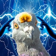 Pigeonbrain