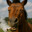 🐎🐎ELPATADX🐎🐎