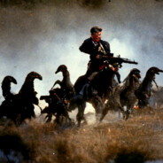 Galahad a little lamb