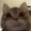 Toast