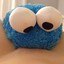 COOKIE MONSTER