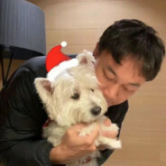 拦路雨偏似雪花