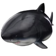 Megalodon's avatar