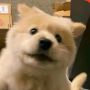 果宝特攻突破手菠萝吹