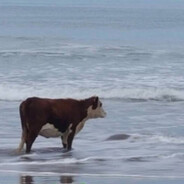 SpaceAsshole131 SpaceAsshole131