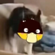 卧似柯哀笑南梁