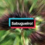 Le_Sabugueiro