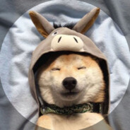 派大星不大聪明