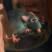 莫斯科郊外的晚上